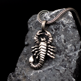 The Scorpion Enigma Pendant - Fierce Protection & Hidden Strength